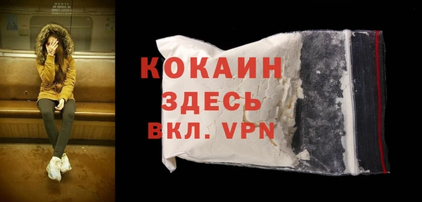 сатива Арсеньев