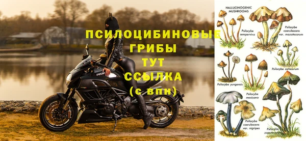 mix Аркадак
