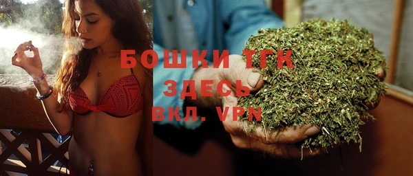 сатива Арсеньев