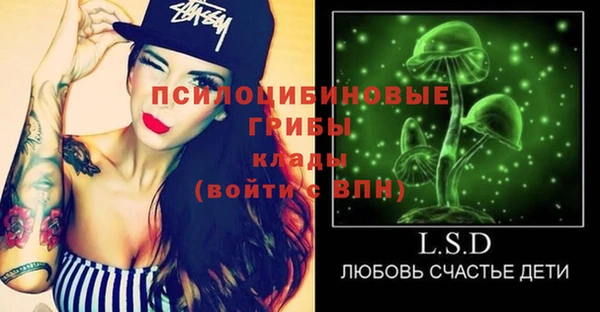 сатива Арсеньев
